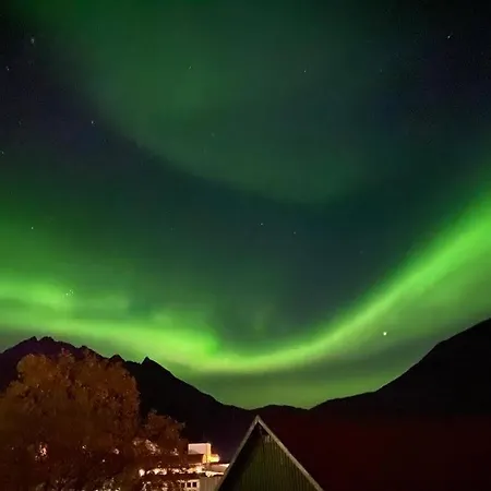 Waterfront Senja Torsken