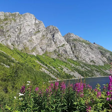 Waterfront Senja アパート Torsken