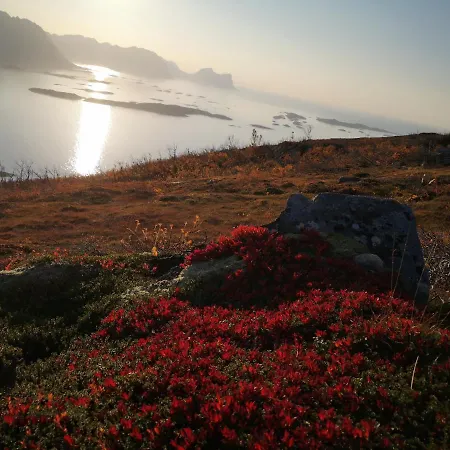 Waterfront Senja Torsken