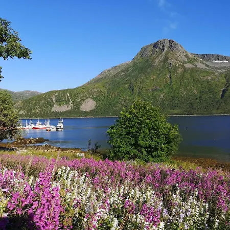 Lägenhet Waterfront Senja