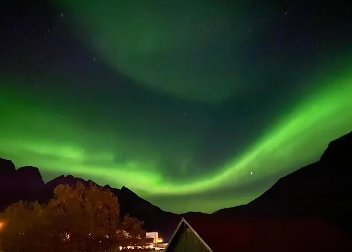 Waterfront Senja Torsken