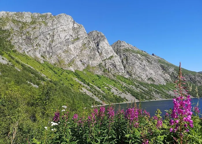 Waterfront Senja Appartement Torsken