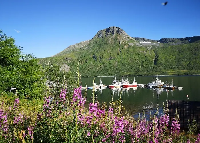 Appartement Waterfront Senja Torsken