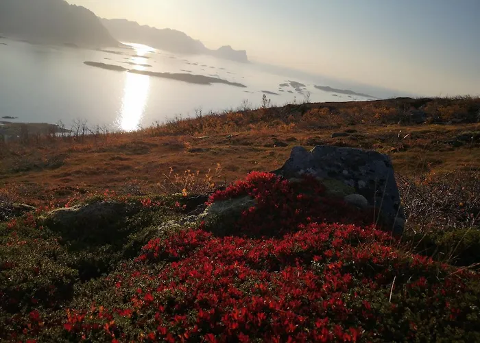 Waterfront Senja Torsken