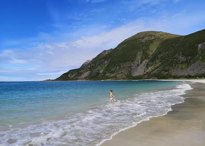 Waterfront Senja * Torsken