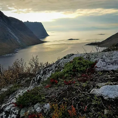 Waterfront Senja *