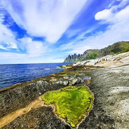 דירה Waterfront Senja *