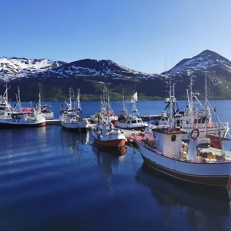 Waterfront Senja
